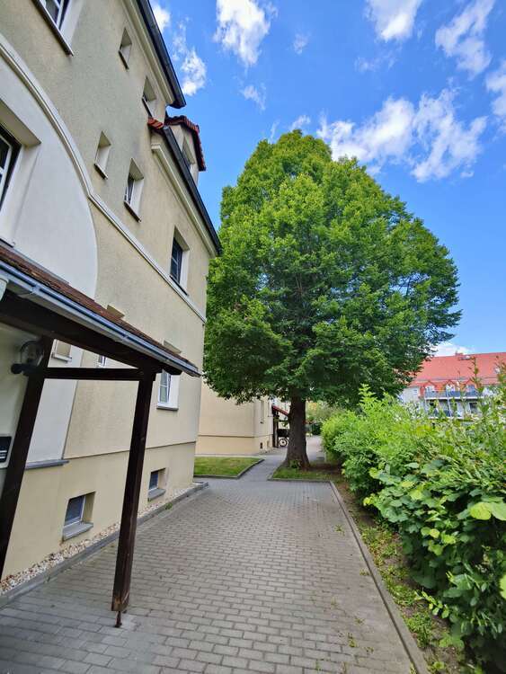 Wohnung zum Mieten in Zwickau 300 € 54.6 m²