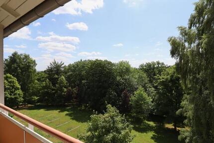 Kaßberg! Urban, grün und jederzeit willkommen 3 zimmer