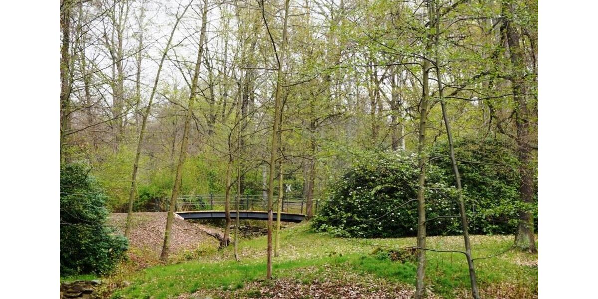 Dachgeschoßwohnung Chemnitz Altendorf - 2 Zimmer, 62 m&sup2;, 348&euro; | Angebot:24677169