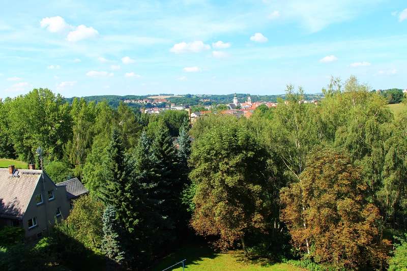 Wohnung zum Mieten in Döbeln 292 € 58.26 m²