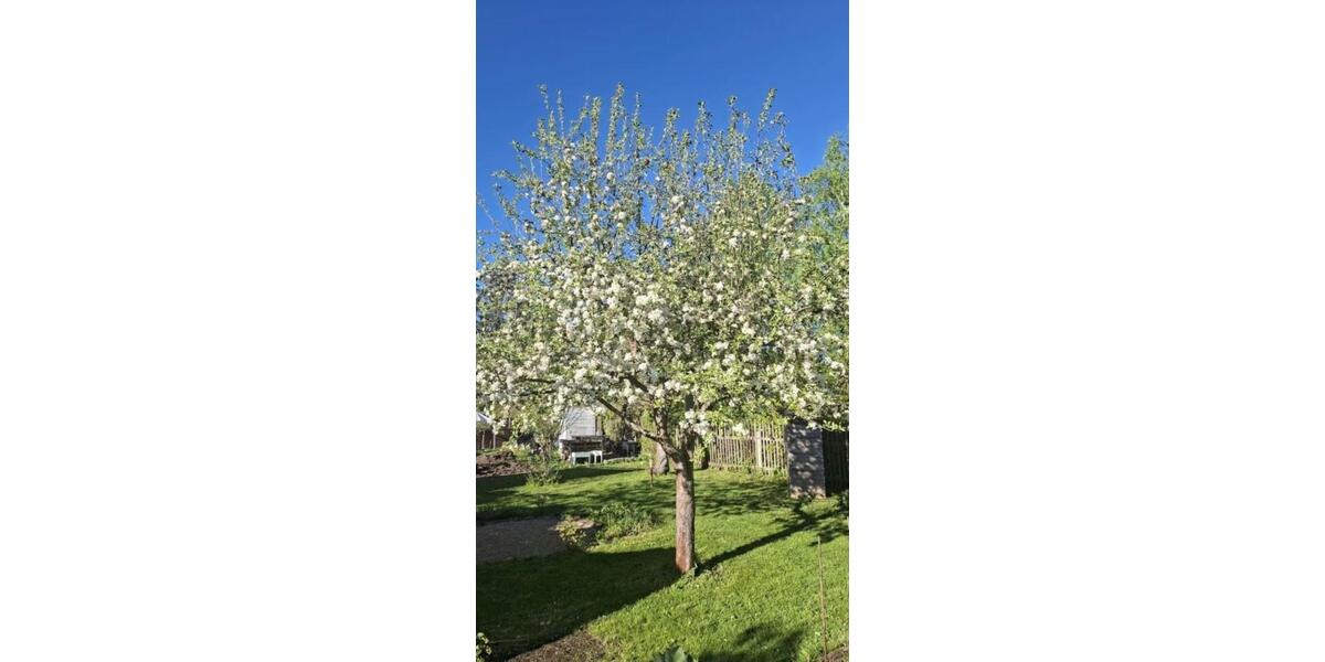 Grundstück Chemnitz Rabenstein - 800&euro; | Angebot:24367154