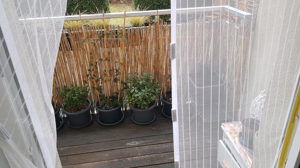 Erdgeschoßwohnung Chemnitz Kapellenberg - 2 Zimmer, 40 m&sup2;, 99.950&euro; | Angebot:25099088