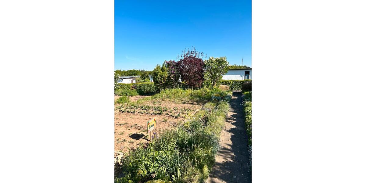 Grundstück Chemnitz Helbersdorf - 2.500&euro; | Angebot:21569591