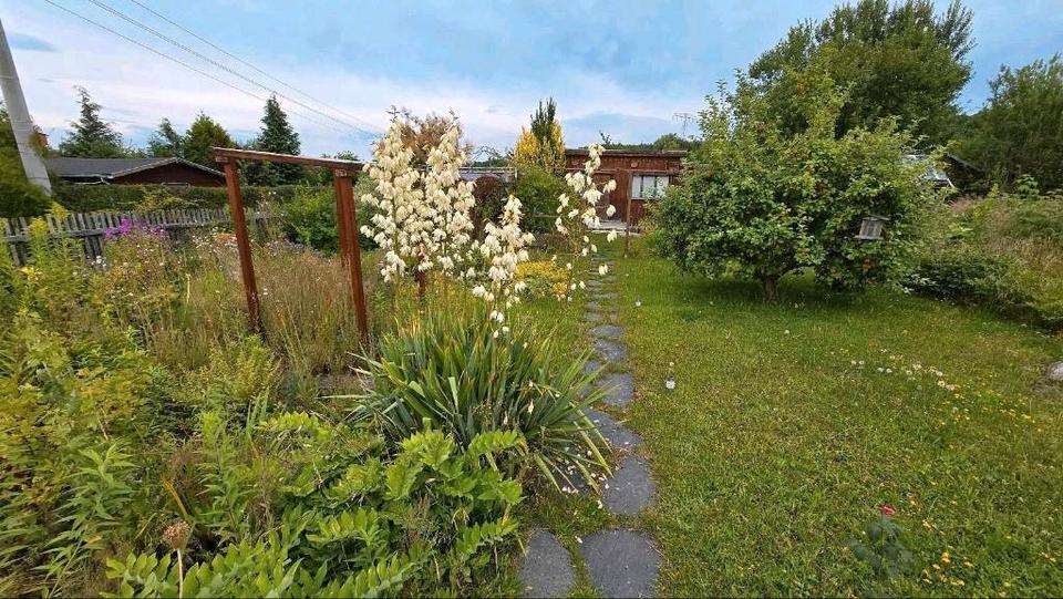 Grundstück Chemnitz - 890&euro; | Angebot:26539835