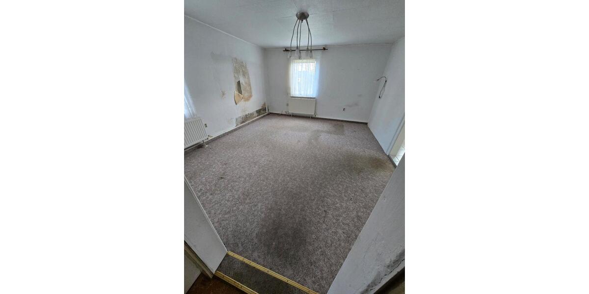 Einfamilienhaus mit grossem Grundstück, Nebengelass 7 zimmer