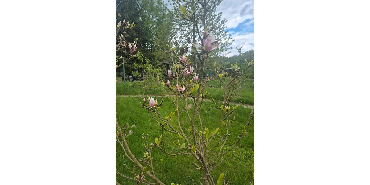 Grundstück Pockau-Lengefeld Lengefeld - 150&euro; | Angebot:26663802