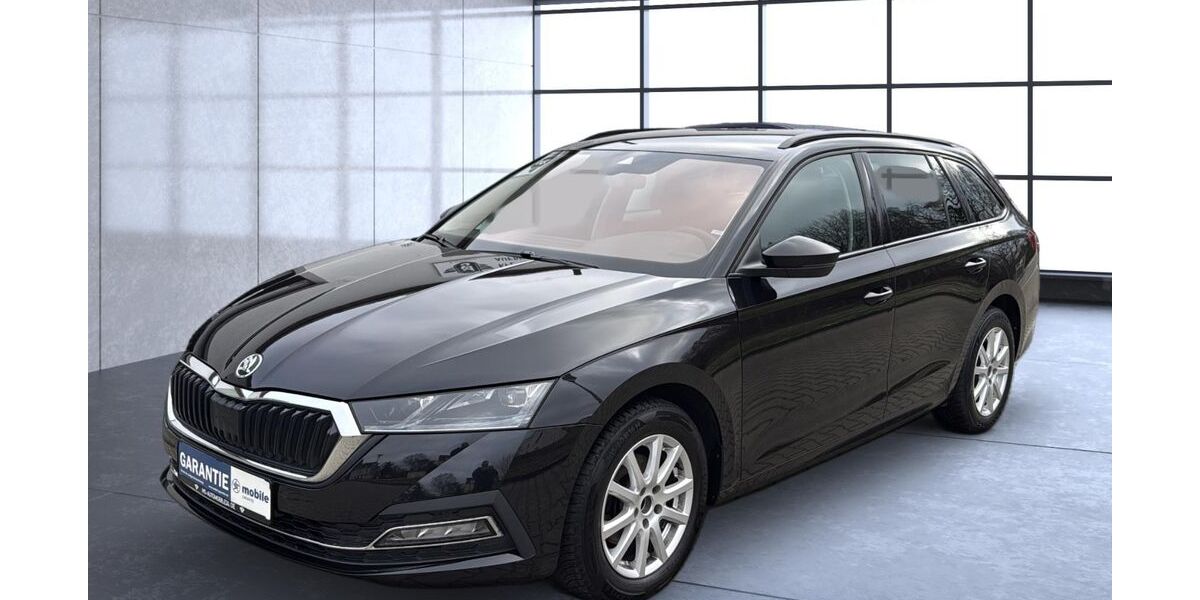 Skoda Octavia 111.300 km 19.300 € Brand-Erbisdorf 09618
