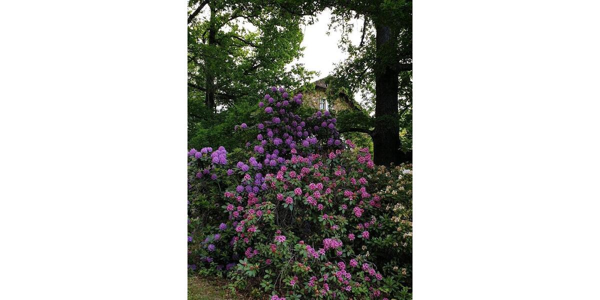 Etagenwohnung Waldheim - 5 Zimmer, 137 m&sup2;, 850&euro; | Angebot:24944104