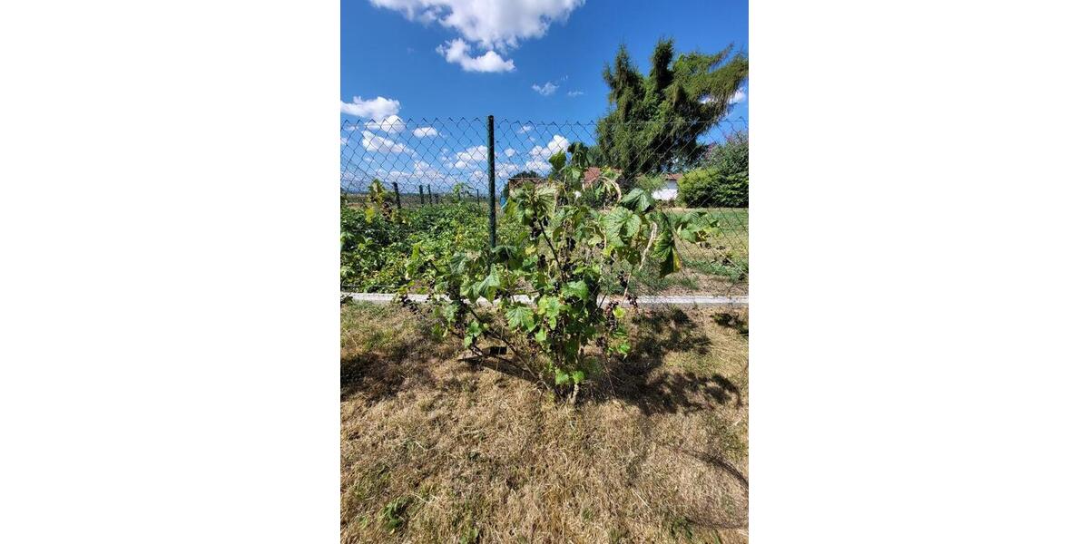 Grundstück Chemnitz Wittgensdorf - 100&euro; | Angebot:16064164