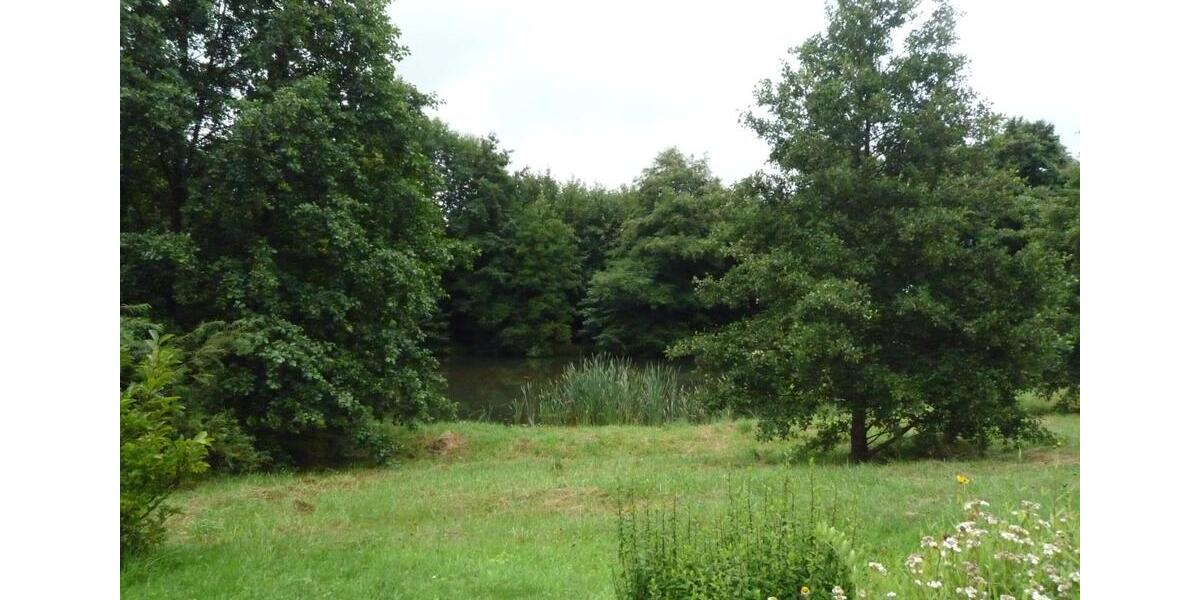 Etagenwohnung Stollberg (Erzgebirge) - 1 Zimmer, 40 m&sup2;, 48.500&euro; | Angebot:26308881