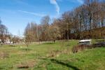Einfamilienhaus Hohenstein-Ernstthal Ernstthal - 19 Zimmer, 431 m&sup2;, 410.000&euro; | Angebot:26253403