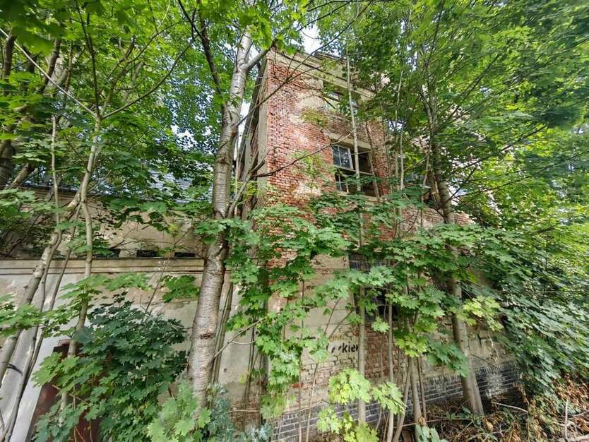 Grundstück zu verkaufen in Chemnitz 195.000 € 13900 m²