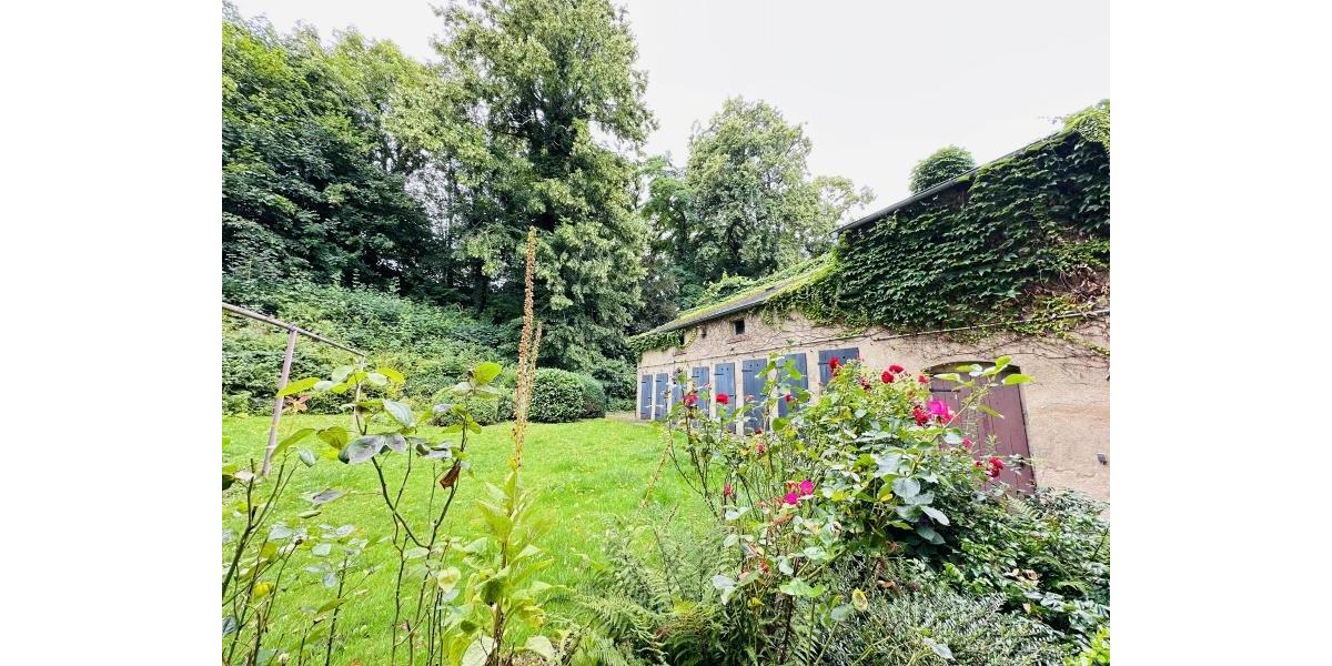 Erdgeschoßwohnung Chemnitz Wittgensdorf - 3 Zimmer, 66 m&sup2;, 380&euro; | Angebot:26247900