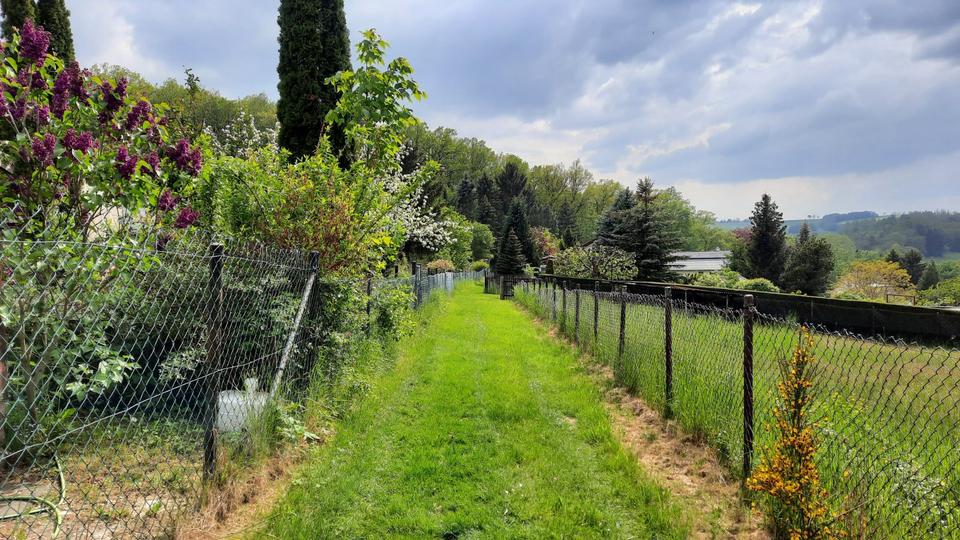 Grundstück Chemnitz Klaffenbach - 150&euro; | Angebot:25300030