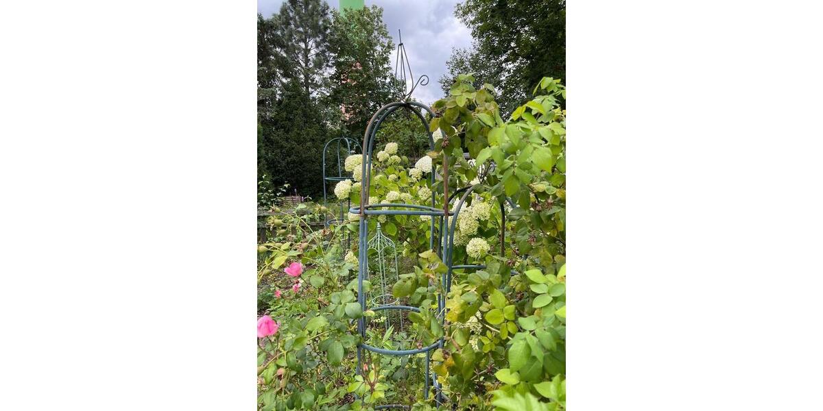 Grundstück Chemnitz Altendorf - 50&euro; | Angebot:24839762