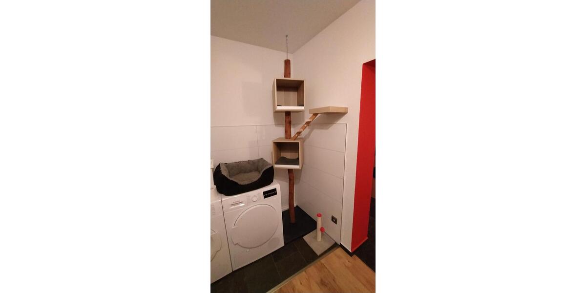 Mehrfamilienhaus, Wohnhaus Chemnitz Wittgensdorf - 190.000&euro; | Angebot:24829927