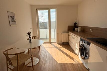 Wohnung Chemnitz Kapellenberg - 1 Zimmer, 42 m&sup2;, 430&euro; | Angebot:26254472