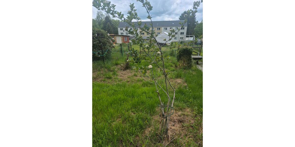 Grundstück Pockau-Lengefeld Lengefeld - 150&euro; | Angebot:26663802