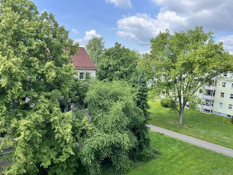 Wohnung zum Mieten in Zwickau 259,70 € 49 m²