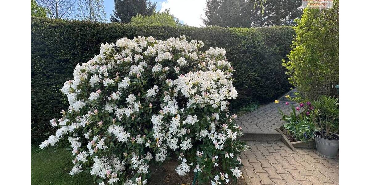 Mehrfamilienhaus, Wohnhaus Erlbach-Kirchberg Kirchberg - 1 Zimmer, 350 m&sup2;, 615.000&euro; | Angebot:25986325