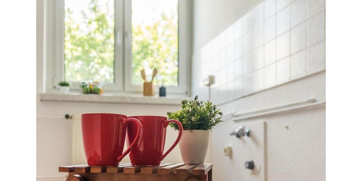 Erdgeschoßwohnung Chemnitz - 2 Zimmer, 56 m&sup2;, 320&euro; | Angebot:26682276