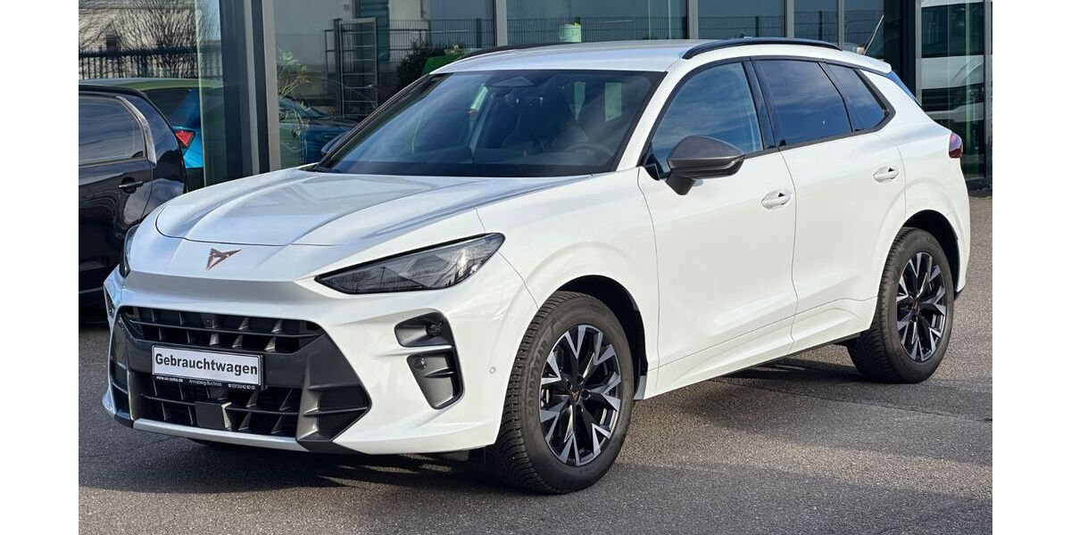 Cupra Terramar 22.641 km 31.900 &euro; Annaberg-Buchholz 09456