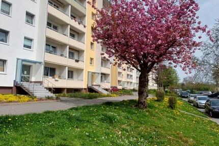 Wohnung Hohenstein-Ernstthal Ernstthal - 3 Zimmer, 56 m&sup2;, 345&euro; | Angebot:26367404