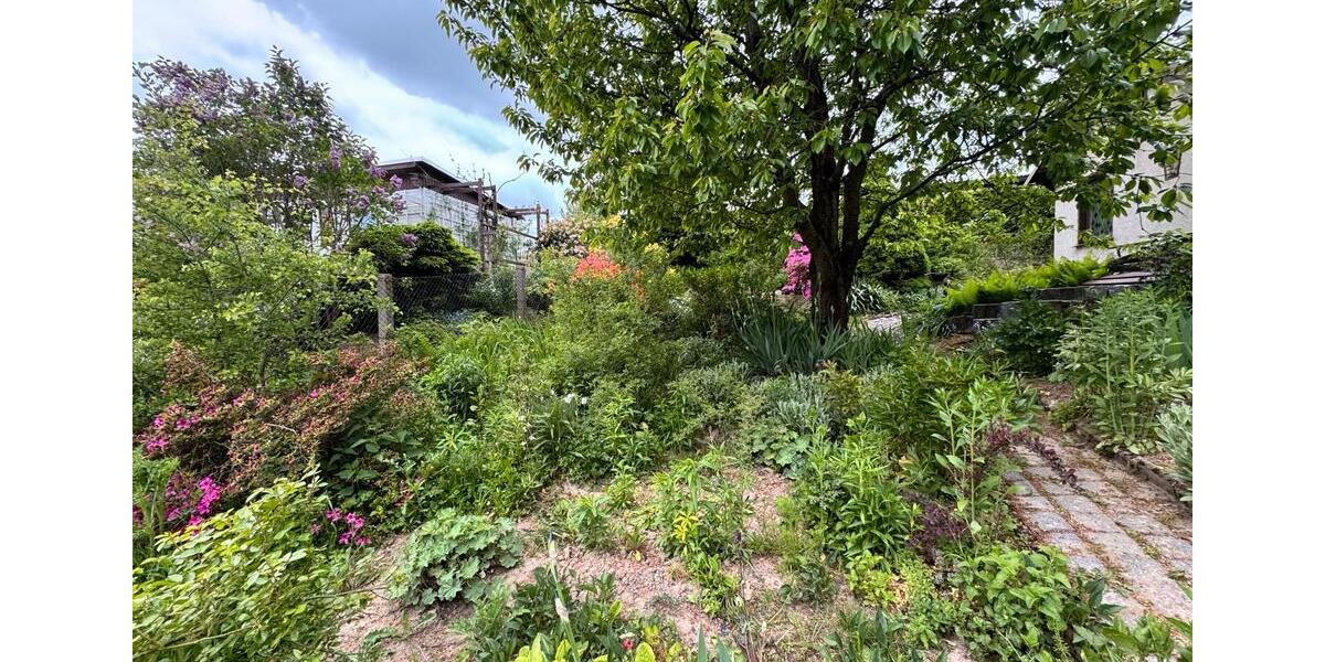 Grundstück Chemnitz Borna-Heinersdorf - 1.000&euro; | Angebot:25176643