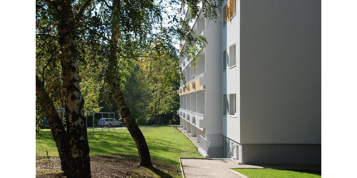 Etagenwohnung Chemnitz Borna-Heinersdorf - 1 Zimmer, 36 m&sup2;, 245&euro; | Angebot:26682144