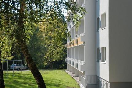 Wohnung Chemnitz Borna-Heinersdorf - 1 Zimmer, 36 m&sup2;, 245&euro; | Angebot:26682144