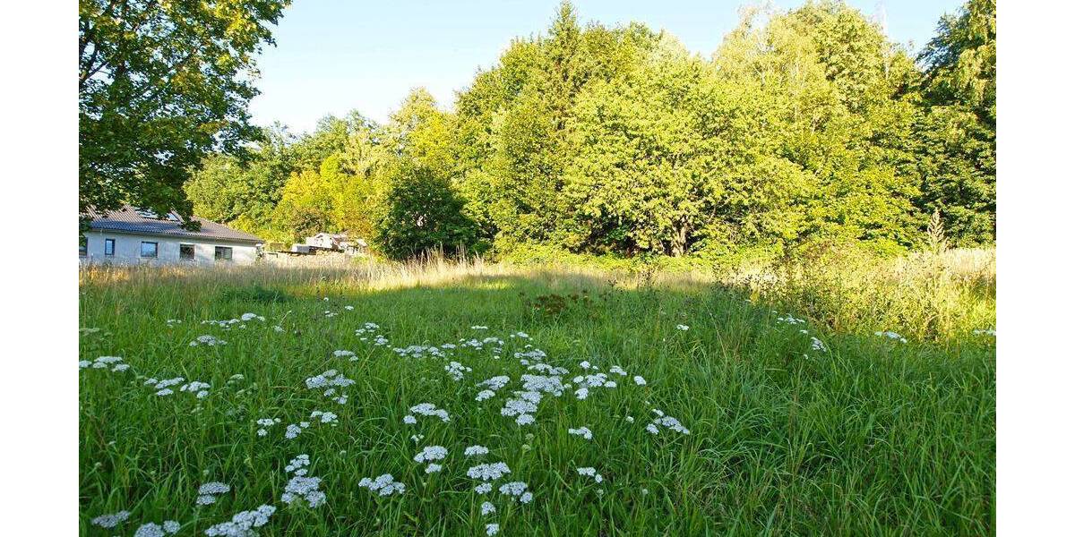 Grundstück Hainichen - 85.360&euro; | Angebot:25689455