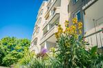 Etagenwohnung Chemnitz Borna-Heinersdorf - 3 Zimmer, 55 m&sup2;, 285&euro; | Angebot:26200727