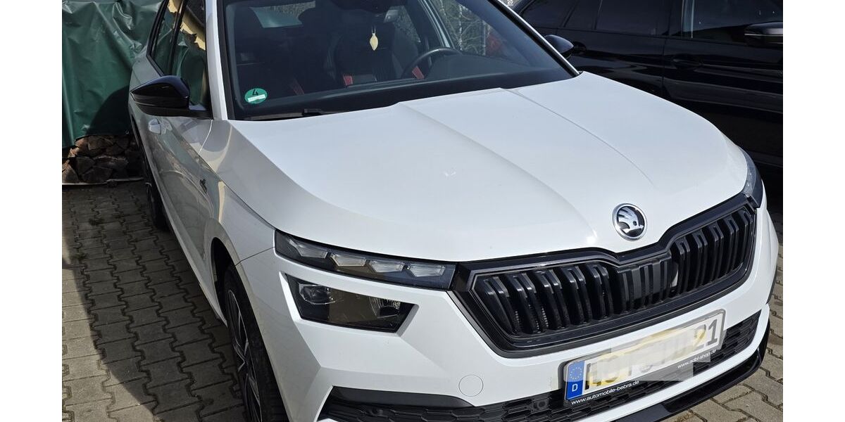 Skoda Kamiq 60.400 km 23.800 &euro; Lichtenstein 09350