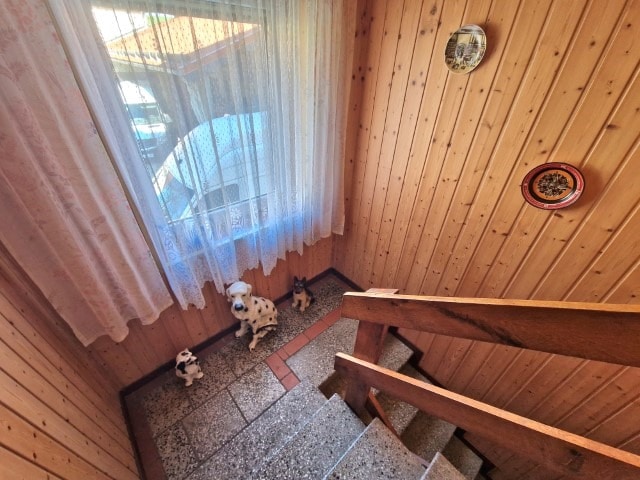 Wohnhaus mit schönem Grundstück in ruhiger Lage! 5 zimmer