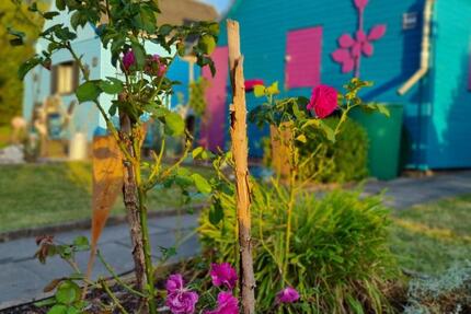 Grundstück Chemnitz Adelsberg - 950&euro; | Angebot:24588098