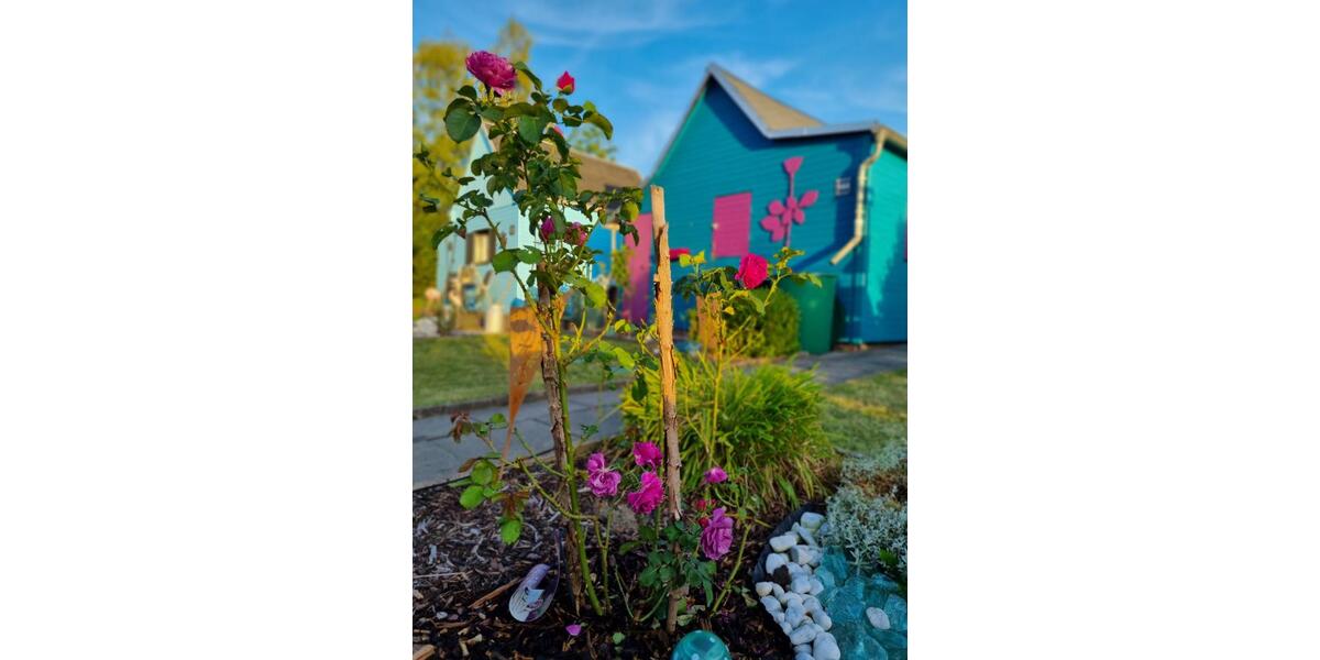 Grundstück Chemnitz Adelsberg - 950&euro; | Angebot:24588098