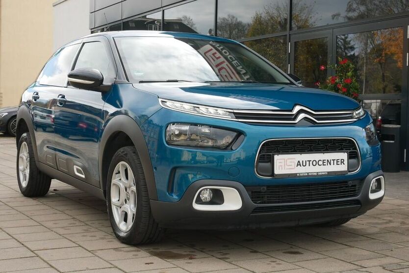 C4 Cactus
