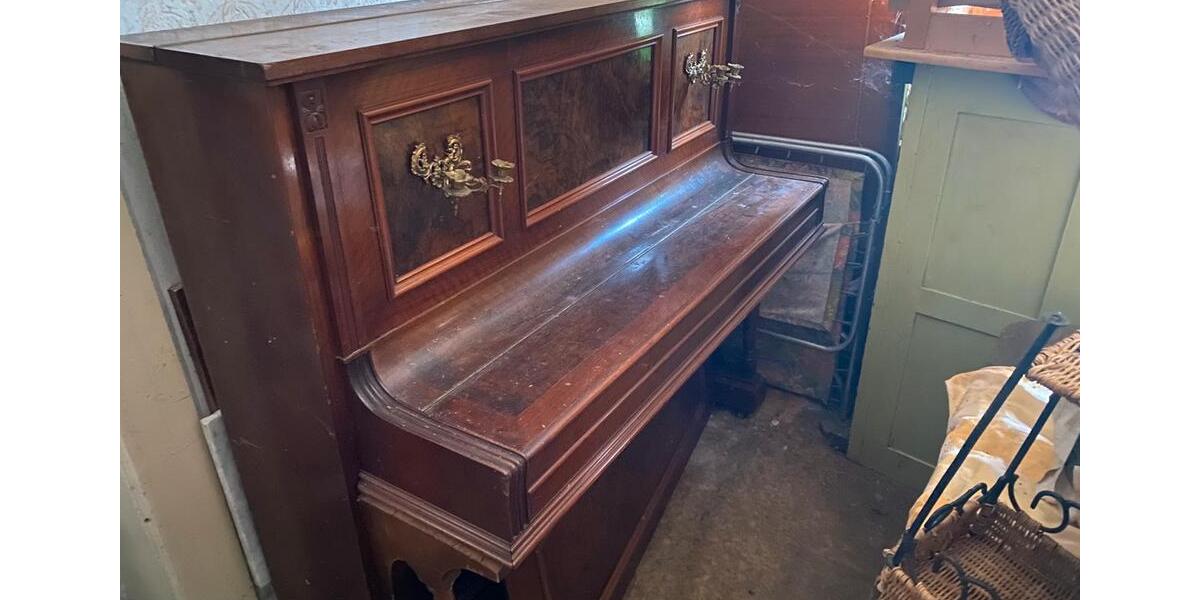 Wohnung , Lager, Praxis , Singlewohnung 2 zimmer