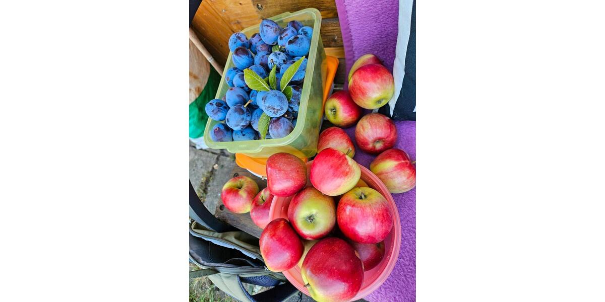 Grundstück Chemnitz Adelsberg - 2.000&euro; | Angebot:22217285