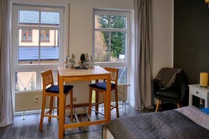 Gemütliches Apartment in Chemnitz Rabenstein 1 zimmer