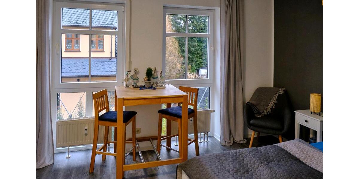 Gemütliches Apartment in Chemnitz Rabenstein 1 zimmer