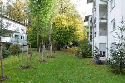 Wohnung zum Mieten in Chemnitz 350 € 50 m² 1 zimmer