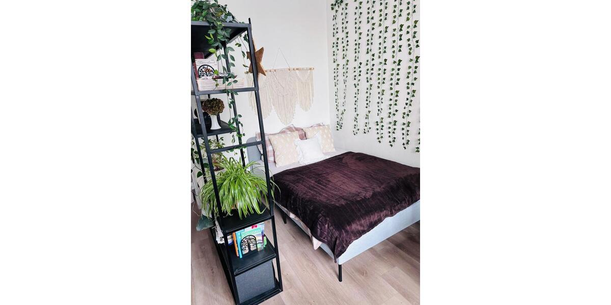 Hochparterre Chemnitz Kapellenberg - 1 Zimmer, 41 m&sup2;, 220&euro; | Angebot:26272334