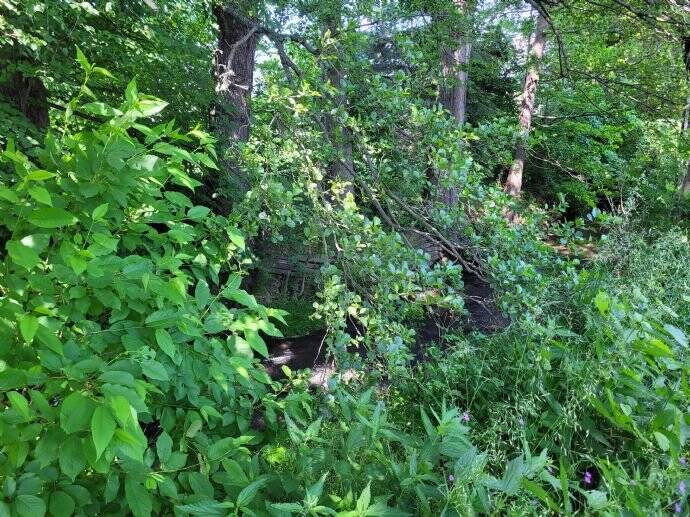 Grundstück Hainichen Cunnersdorf - 79.866&euro; | Angebot:25690271