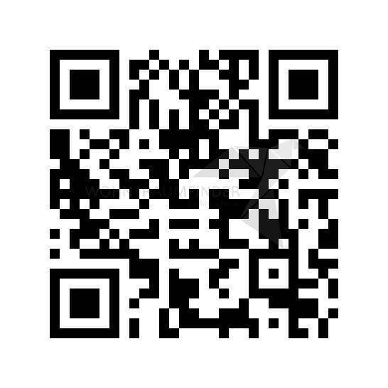 Etagenwohnung Chemnitz Rabenstein - 2 Zimmer, 40 m&sup2;, 541&euro; | Angebot:25681447