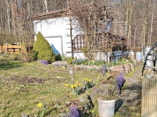 Grundstück Chemnitz Borna-Heinersdorf - 2.500&euro; | Angebot:26025598