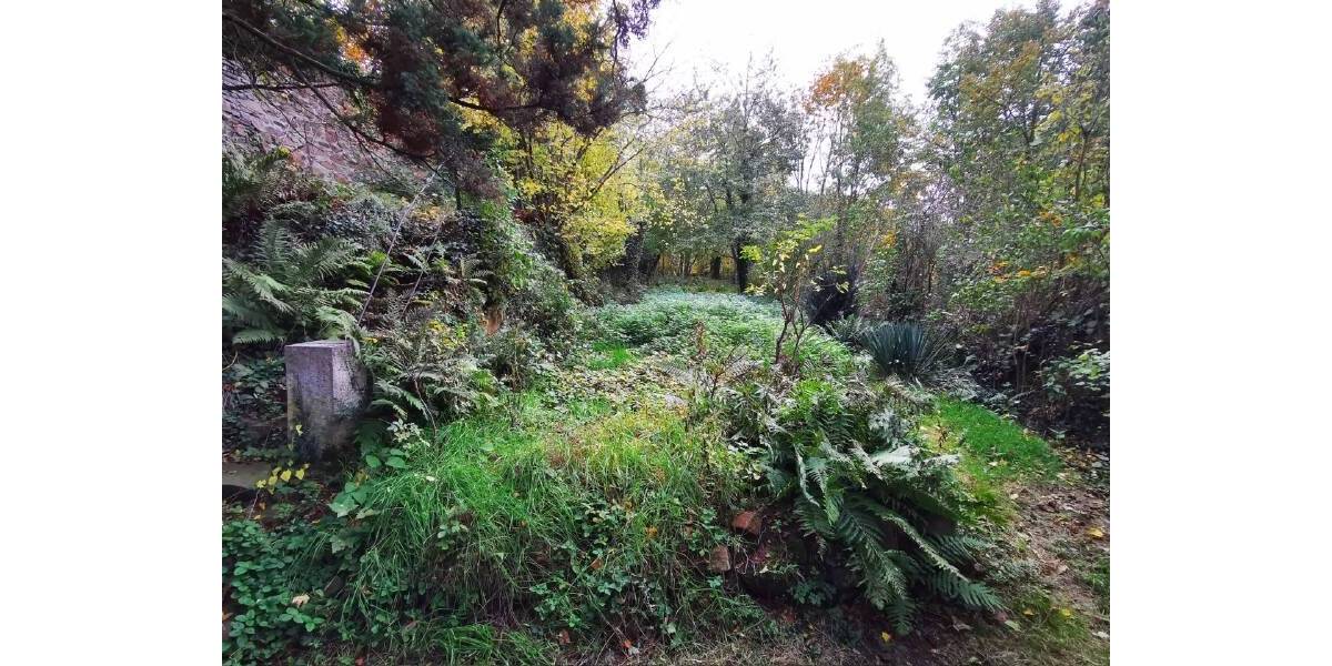 Mehrfamilienhaus, Wohnhaus Penig - 8 Zimmer, 238 m&sup2;, 55.000&euro; | Angebot:25705456