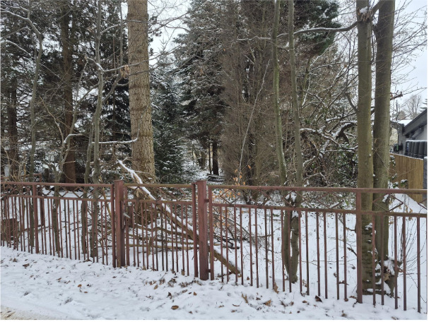 Grundstück Chemnitz Glösa-Draisdorf - 99.000&euro; | Angebot:24795901