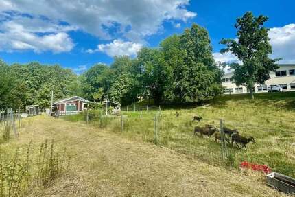 Grundstück in Chemnitz 97.000 € 2644 m² zimmer