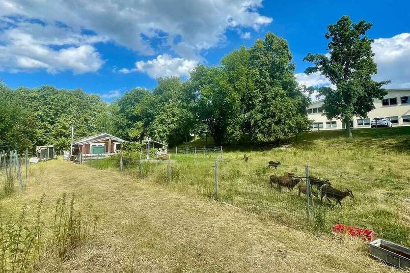 Grundstück in Chemnitz 97.000 € 2644 m² zimmer